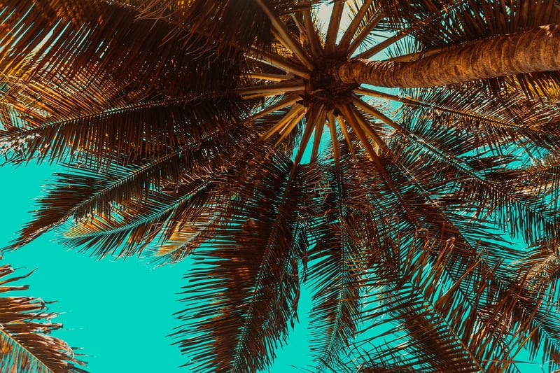 Seychelles Beach